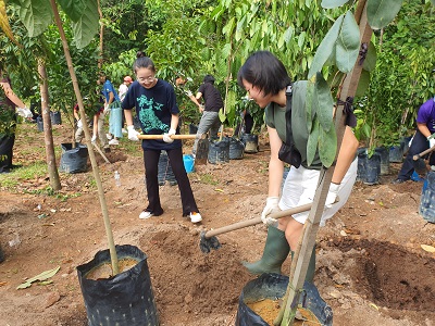 NUS Day of Service at Chestnut Nature Park