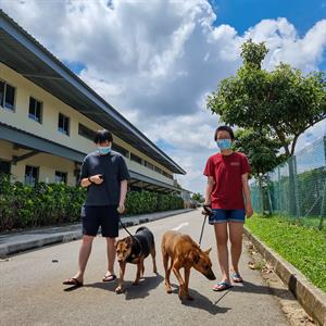 Pawlunteer Day with PGPR