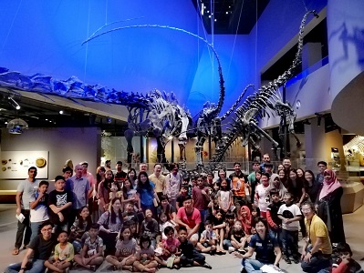 Beyond Social Services: Of Whales and Dinosaurs