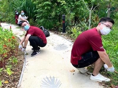 Garden Clean-up @ College Green