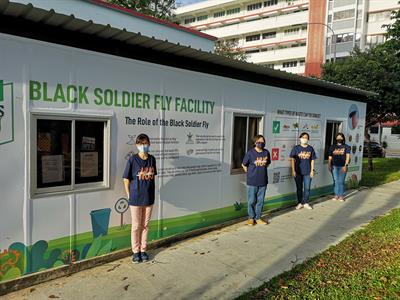 Sustainability @ Tampines Park