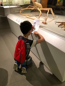 Walking with Dinosaurs