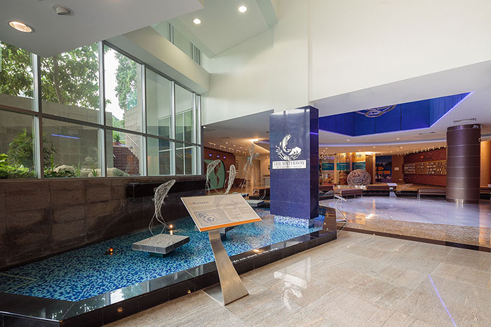 The Waterway (Level 1)