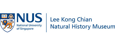 Lee Kong Chian Natural History Museum