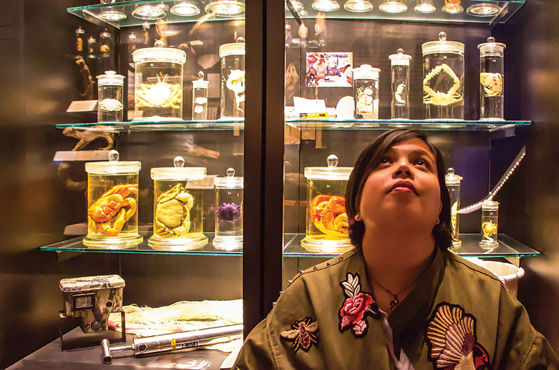 A Grand Design: A Work-In-Progress