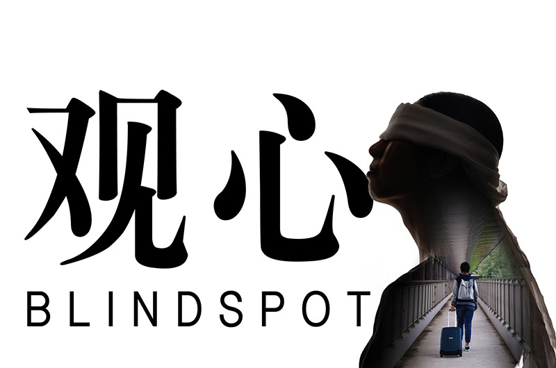 Blindspot 观心