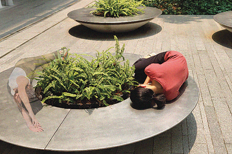 Glimpses: Where We Nest