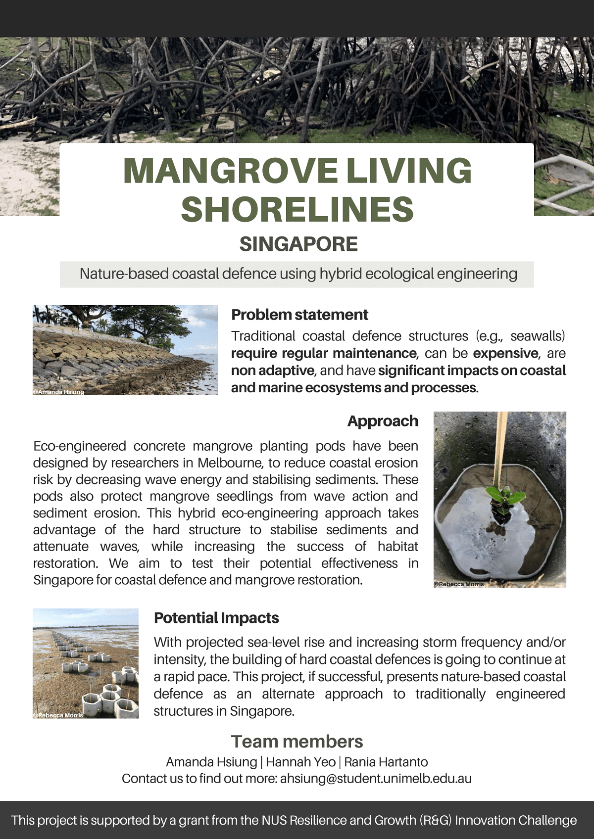 RG105 - Mangrove living shorelines
