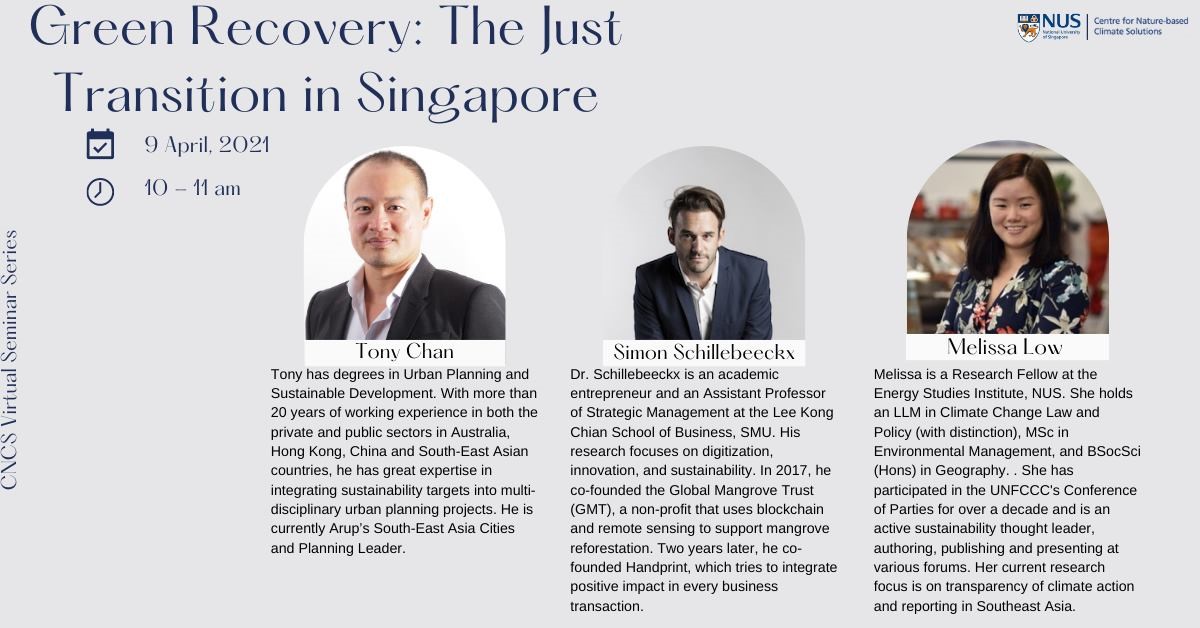 Green Recovery: The Just Transition in Singapore – NUS Centre for ...