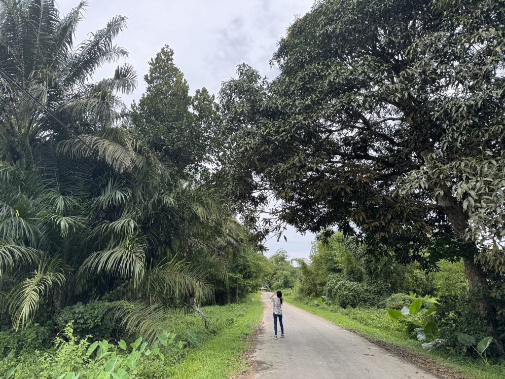 Pivoting forestry and agricultural concessions to conservation for a great forest transition