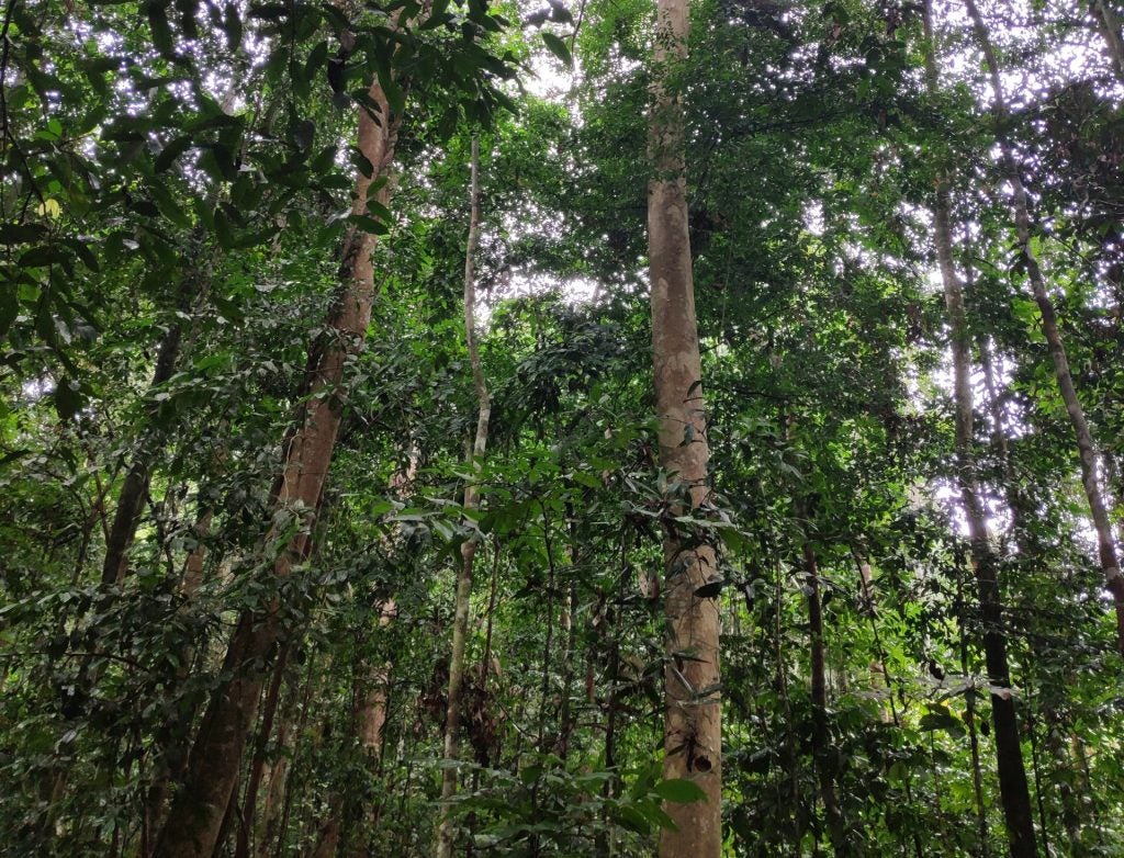 Carbon Market Integrity R&D Programme Singapore (CISG)