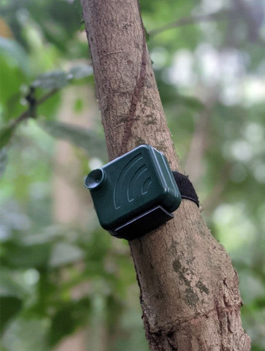 Land cover change and transmission of Ebola Virus and other zoonotic pathogens in Macenta, Guinea: integrating spatial and serological data to detect spillover risks