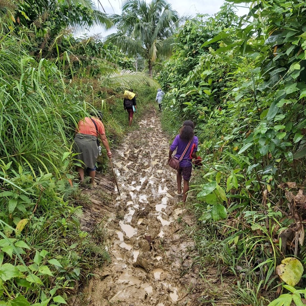 Malaria and climate modelling in Palawan, Philippines