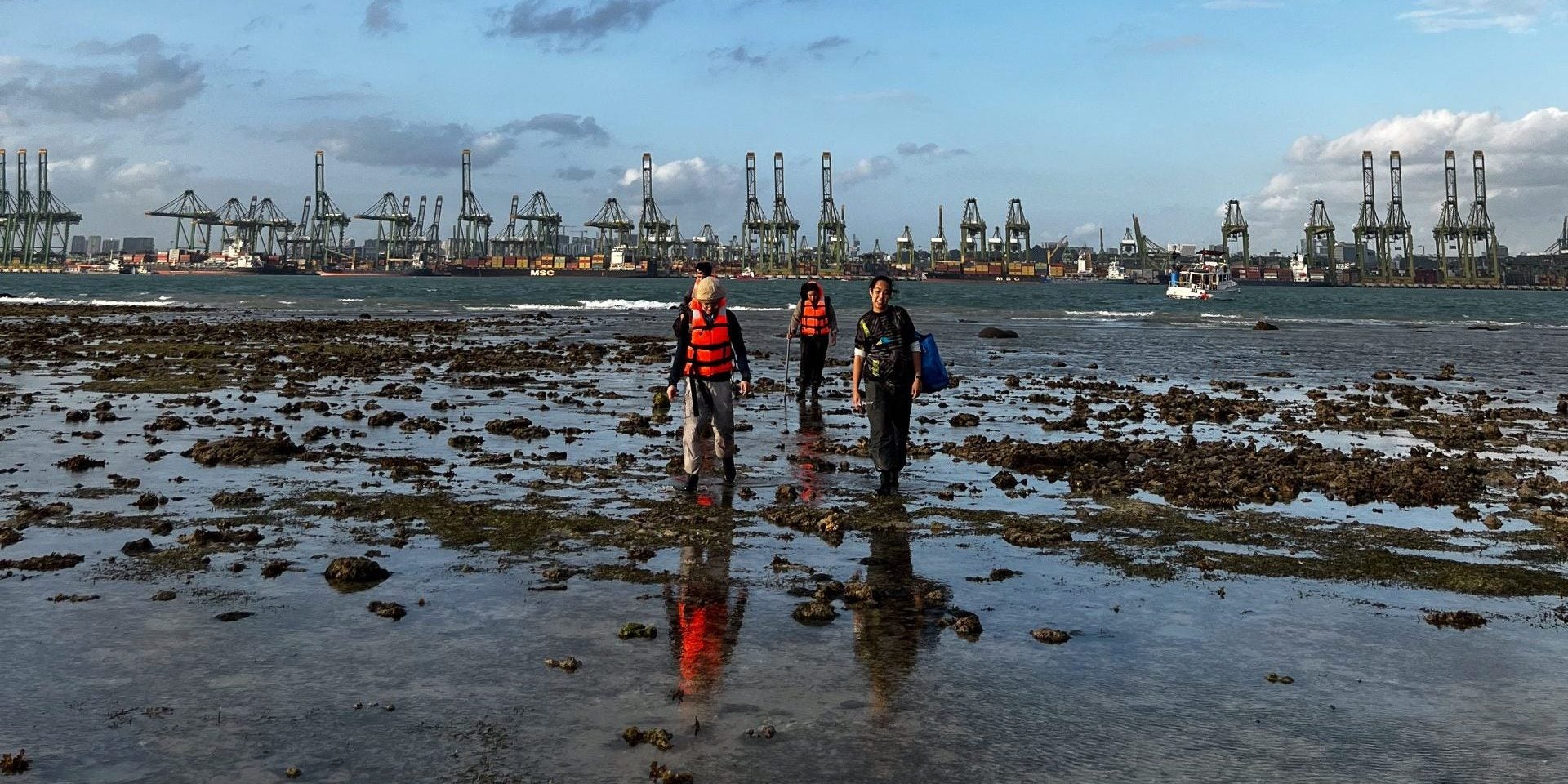 CNCS research 3 _ nparks _ cyrene