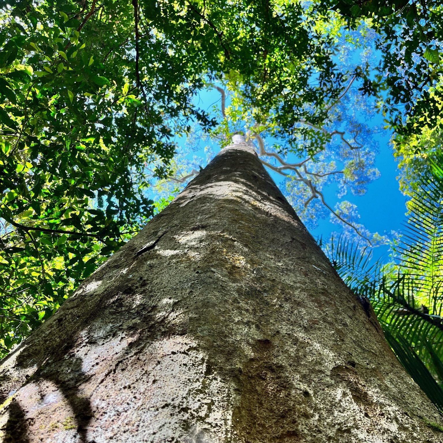 Parnerships IMG_5714