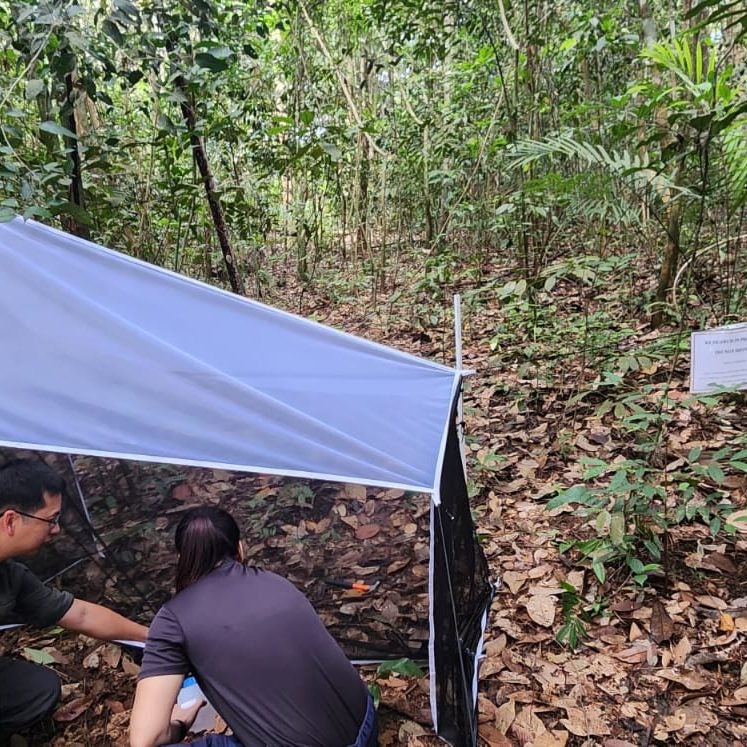 Partnerships ~ Insects (PEEB)