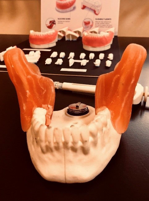3D-Printed Dental Simulator for Education