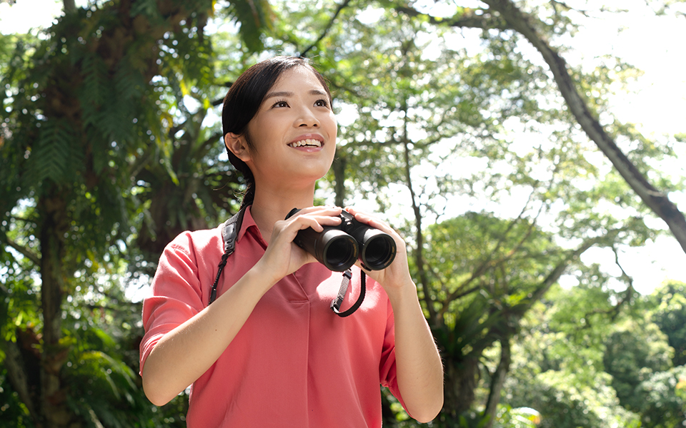 When nature and analytics collide