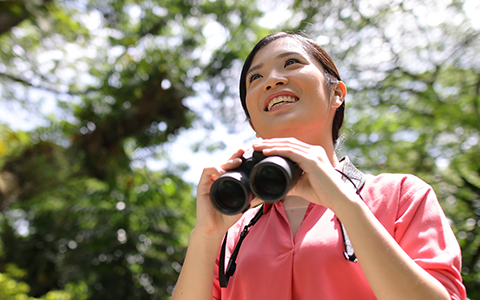 When nature and analytics collide