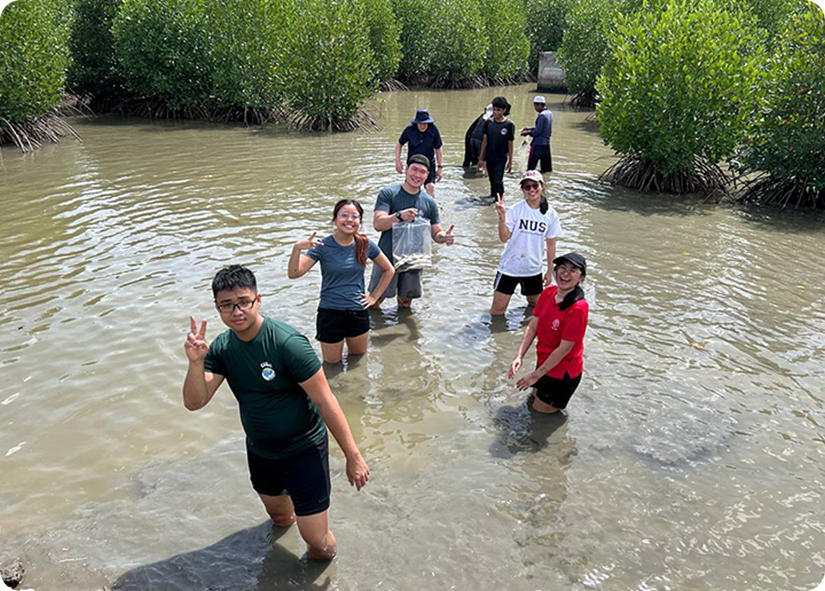 Koi in Lombok, Indonesia