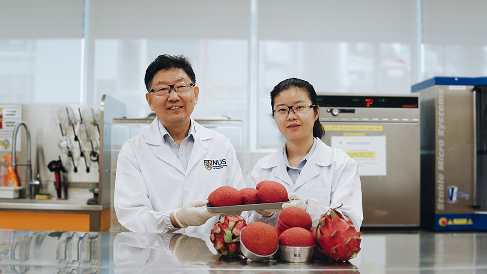NUS scientists show dragon fruit peel extract boosts bread nutrition and lowers glycaemic potential