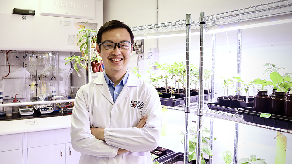 The Green Guardian: Asst Prof Tedrick Lew harnesses precision nanotechnology to protect and strengthen plants