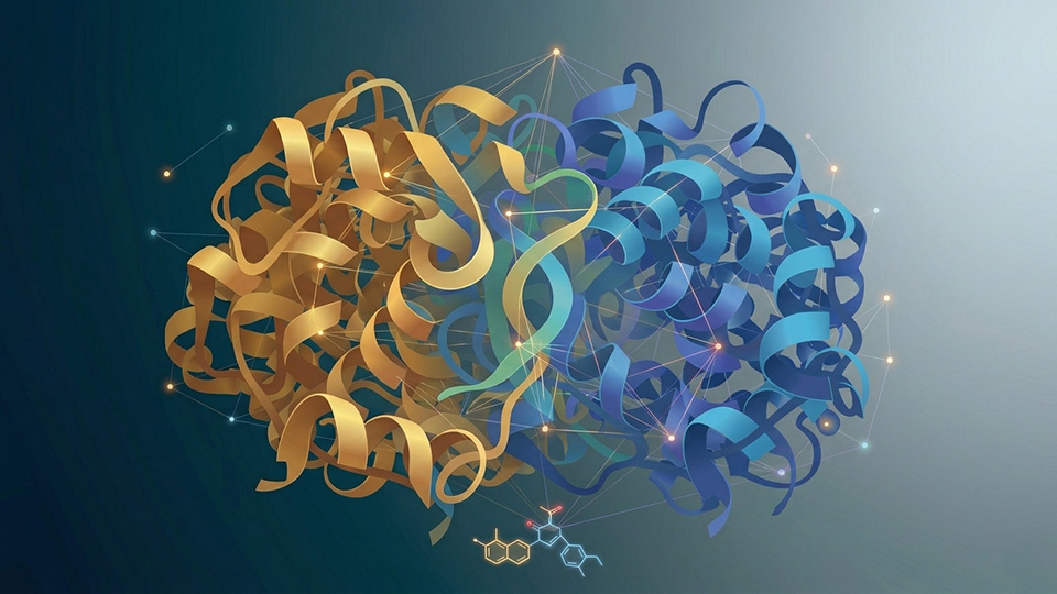 A new way to understand protein interactions