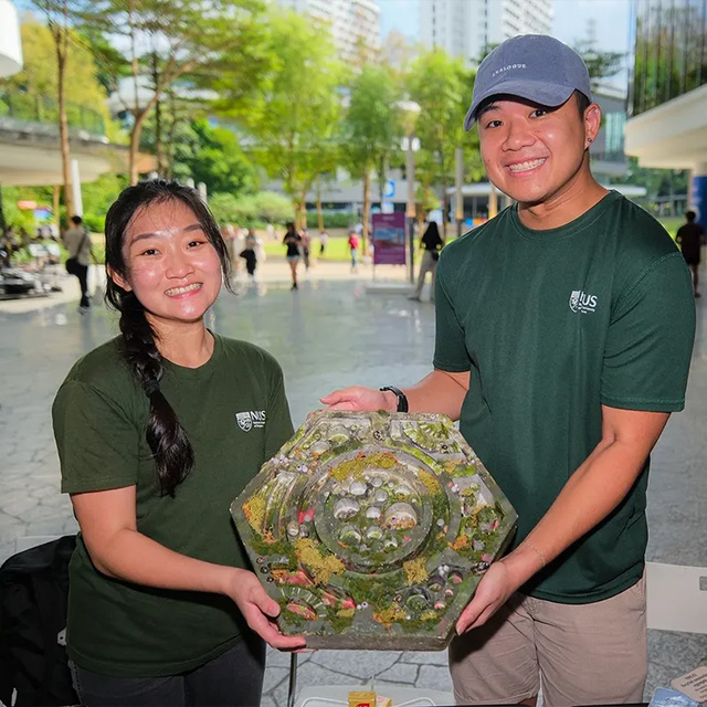Protecting Singapore’s coastlines