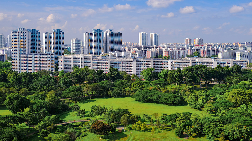 Forests vs flats? Singapore’s land development debate needs to move beyond that