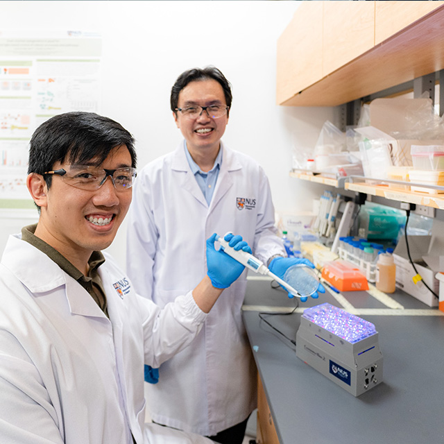 Engineering colour-sensing yeast