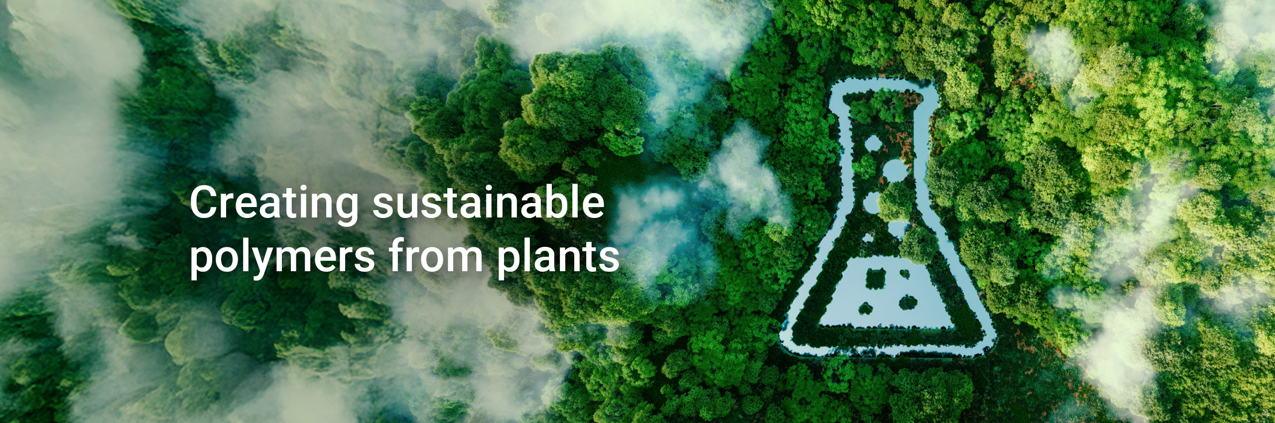 Creating sustainable polymers from plants