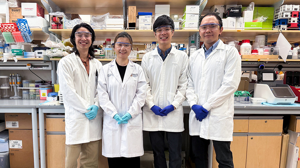 Helping the immune system recognise cancer