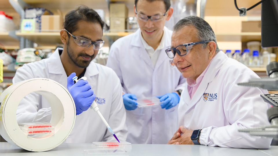 NUS scientists harness magnetic pulses to reprogram immune cells to fight breast cancer