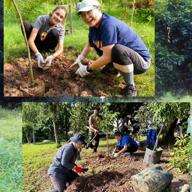 Sustainability at NUS