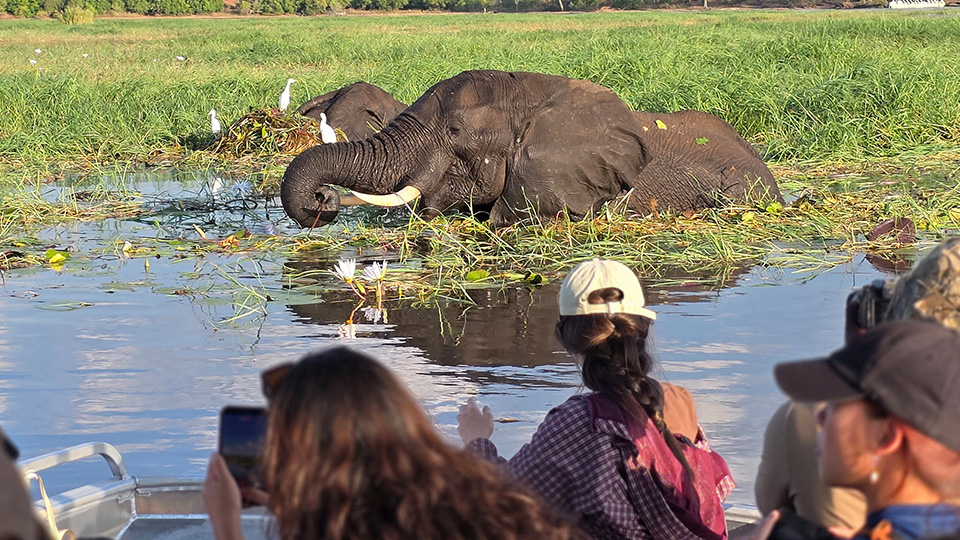 Beyond the safari: CAPT students uncover lessons in conservation and community
