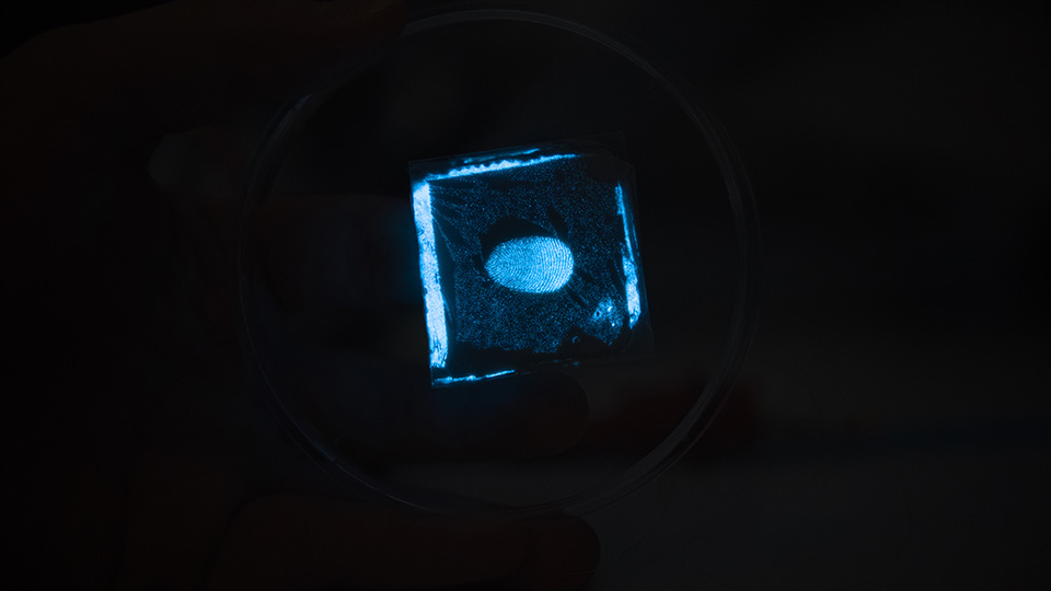 NUS team unveils electronic skin that lets users “see” touch