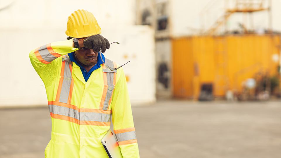 Climate change-fuelled heat stress could cut productivity and fertility, costing billions: NUS study