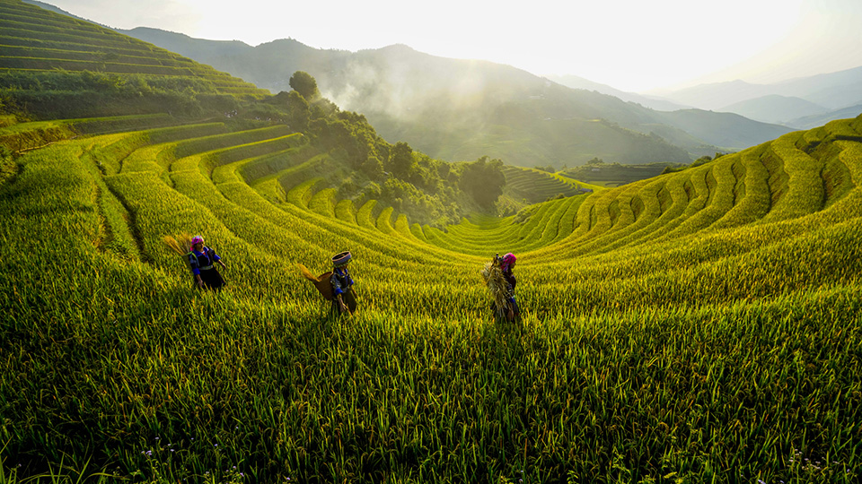 IPS-Nathan Lectures by Professor Joseph Liow — Lecture II: Southeast Asia in a Shifting Global Order