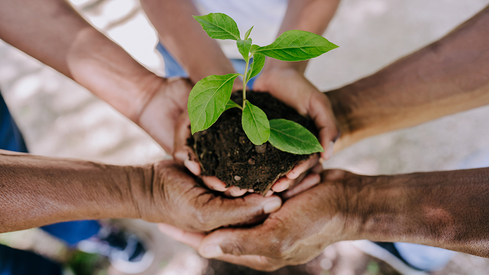 Rethinking climate governance