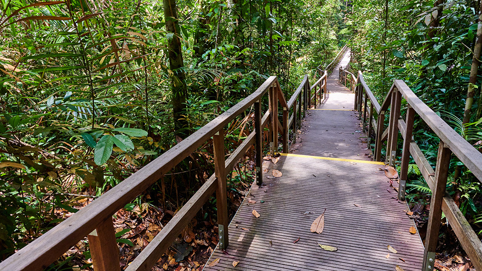 NUS Study: Environmental colours influence comfort; Magenta enhances comfort levels