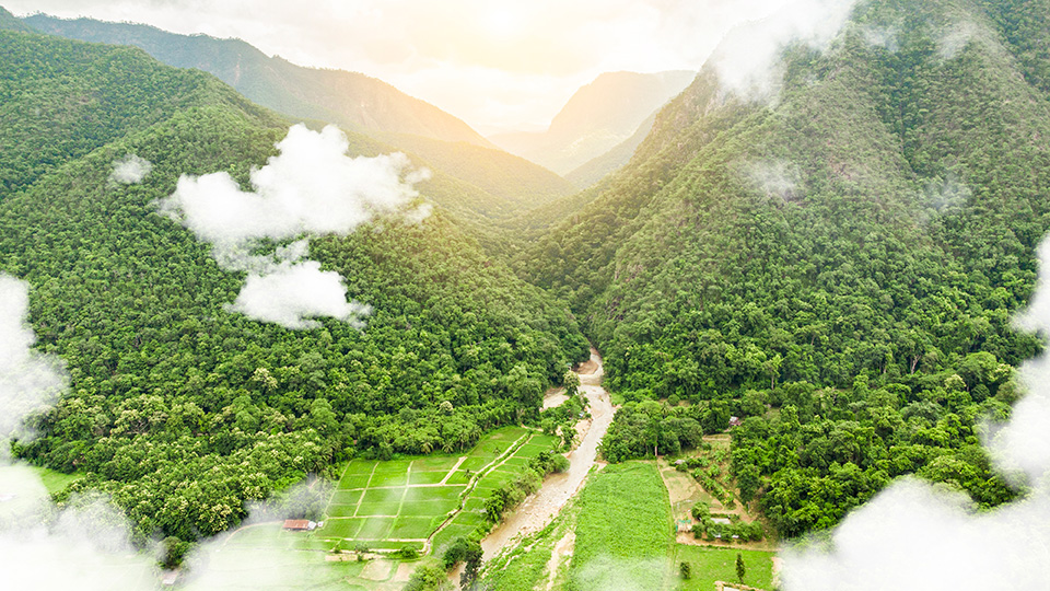 Improving carbon credit frameworks to enhance carbon project quality and financing