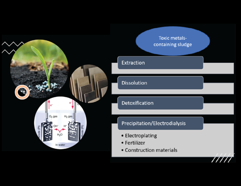Sustainable Detoxification of Heavy Metals 2-01