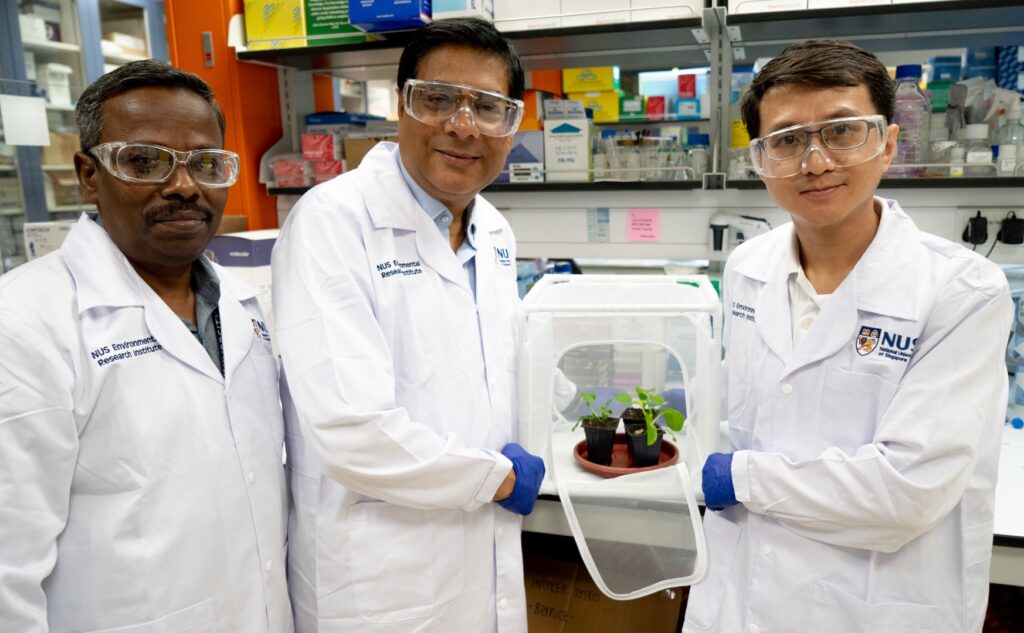 A Microbial Breakthrough for Greener Farming
