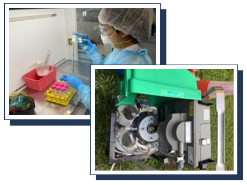 programme-page-covid19-surveillance-thumbnail