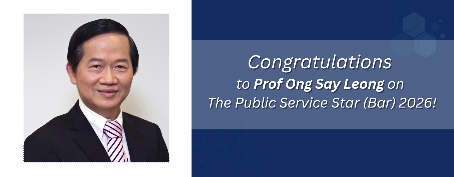 prof ong say leong