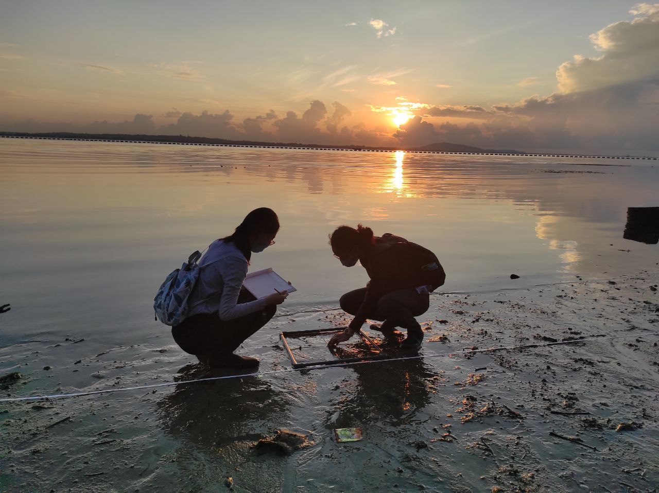 image-4-shakura-bashir