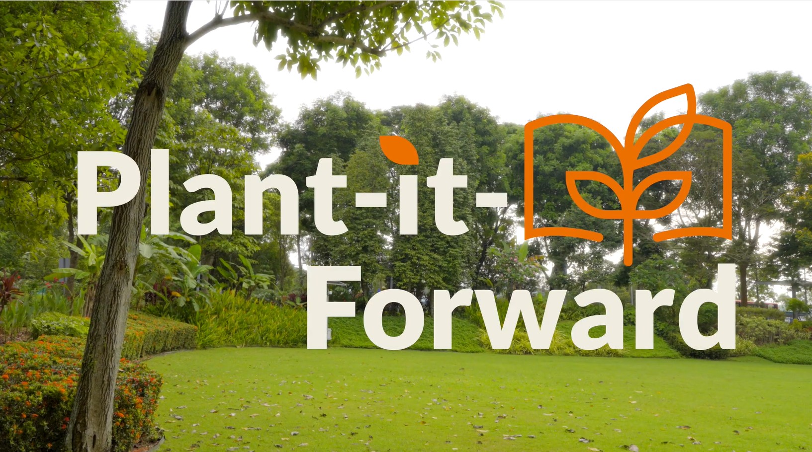 Tree planting event