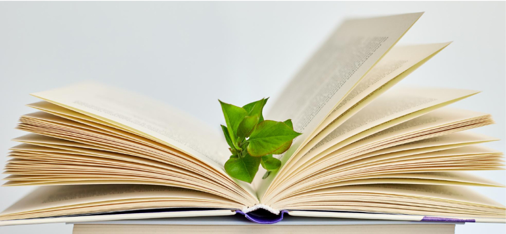 Sustainability in Libraries
