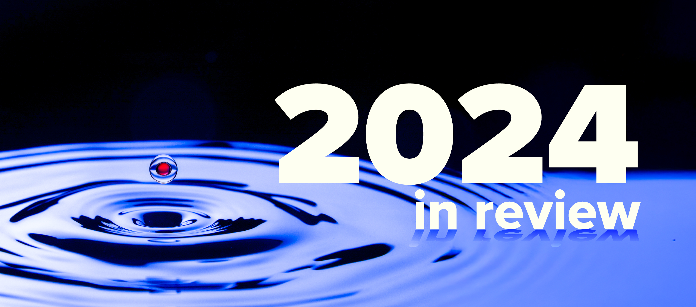2024 in Review
