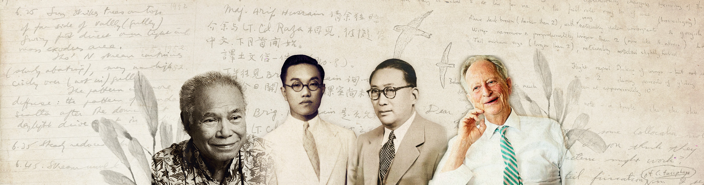 Portraits of private paper authors